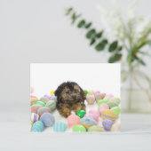 Een puppy van yorkie-Poo en Paaseieren Feestdagenkaart (Staand voorkant)