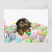 Een puppy van yorkie-Poo en Paaseieren Feestdagenkaart (Voorkant)