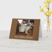 Een Purrfect Verjaardag Wenskaart Kaart (Gele Bloem)