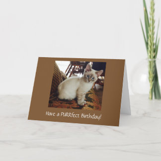 Een Purrfect Verjaardag Wenskaart Kaart
