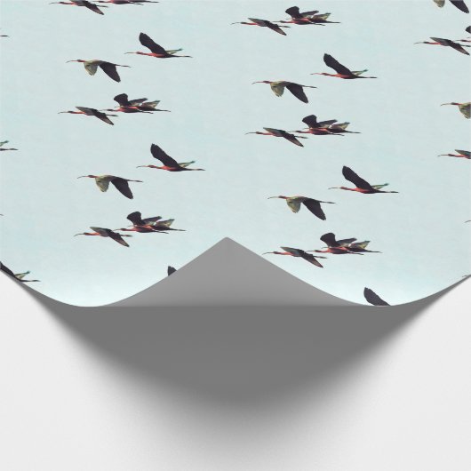 Een rand van de vleugelboten cadeaupapier (Hoek)