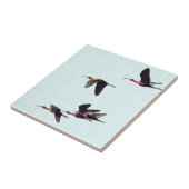 Een rand van de vleugelboten tegeltje (Zijkant)