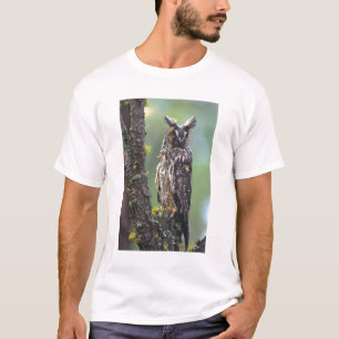 Een ransuil op een tak van een boom t-shirt