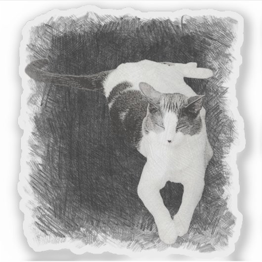 Een rare hoek sticker (Voorkant)