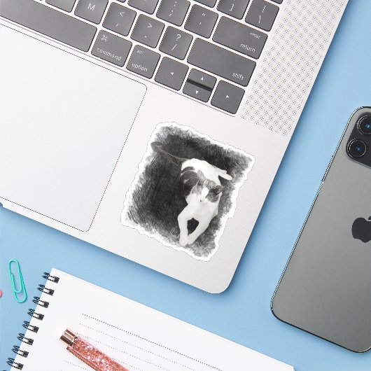 Een rare hoek sticker (Laptop met iPhone)