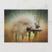 Een Ray van Sunshine. Briefkaart (Voorkant)