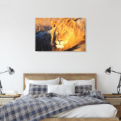 Een Red Maned Lion die naar de camera kijkt. Canvas Afdruk (Insitu (Slaapkamer))