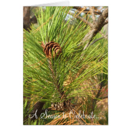 Een reden om te vieren...