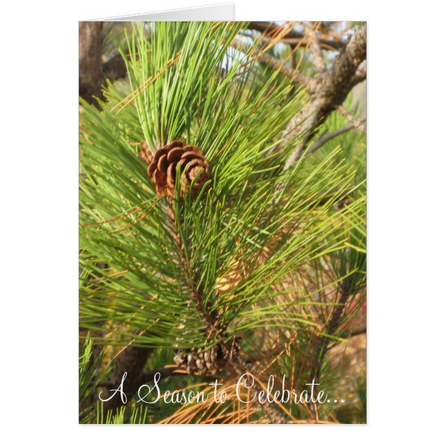 Een reden om te vieren... (Voorkant)