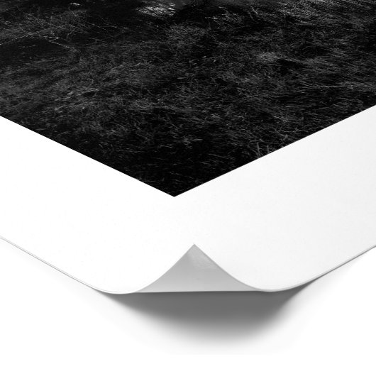 Een regenachtige dag in Texas in het zwart-wit Poster (Hoek)