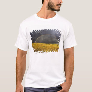 Een regenboog die verschijnt door een nevelige mid t-shirt
