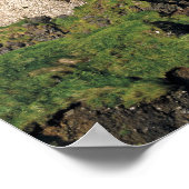 Een regenboog treft middeleeuws kasteel Dunluce aa Poster (Hoek)