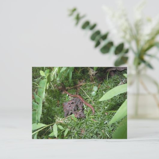 Een regenworm briefkaart (Staand voorkant)