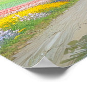 Een reis door de Splendor van Natuur Poster (Hoek)