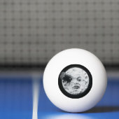 Een reis naar de Franse film Moon Retro Pingpongbal (Net)