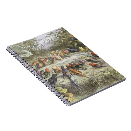 Een repetitie in Fairy Land, illustratie van 'In F Notitieboek (Rechterzijde)