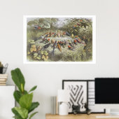 Een repetitie in Fairy Land, illustratie van 'In F Poster (Thuiskantoor)