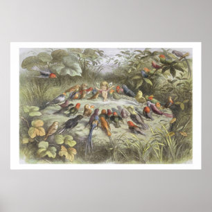 Een repetitie in Fairy Land, illustratie van 'In F Poster