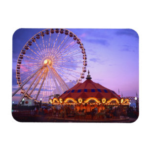 Een reuzenrad en draaimolen bij de Navy Pier in Magneet