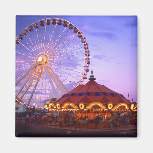 Een reuzenrad en draaimolen bij de Navy Pier in Magneet