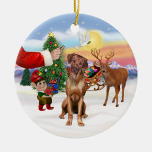 Een Rhodesian Ridgeback Keramisch Ornament