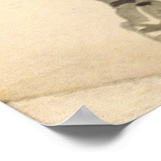 Een Rifleman van de Oostenrijkse Jaegers Poster (Hoek)