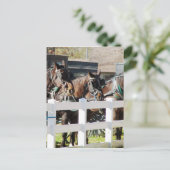 Een rij Amish-paarden Briefkaart (Staand voorkant)