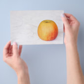 Eén rijpe appel flyer (Hand)