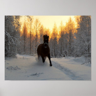 Een rijppaard in de winter in Finland Poster