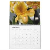 Een Riot van Orchideeën Kalender (Jan 2027)