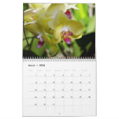 Een Riot van Orchideeën Kalender (Mar 2026)