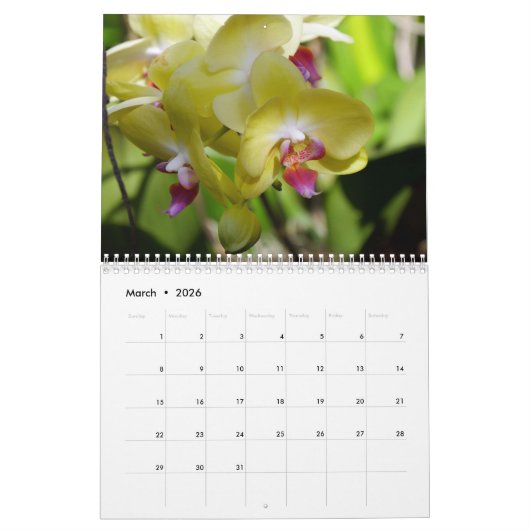 Een Riot van Orchideeën Kalender (Mar 2026)