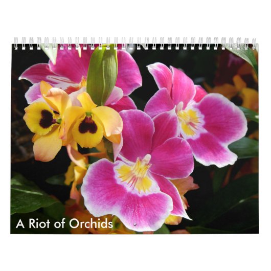 Een Riot van Orchideeën Kalender (Hoes)