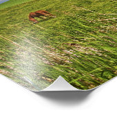 Een rit door het boerderij land Palouse 3 Foto Afdruk (Hoek)