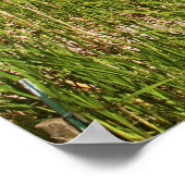 Een rit door het boerderij land Palouse 3 Poster (Hoek)