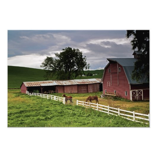 Een rit door het boerderij land Palouse 4 Foto Afdruk (Voorkant)