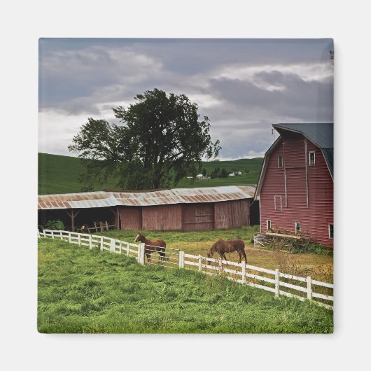 Een rit door het boerderij land Palouse 4 Magneet (Voorkant)