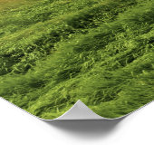 Een rit door het boerderij land Palouse 4 Poster (Hoek)