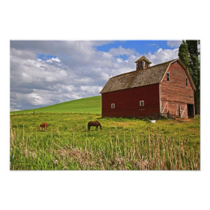 Een rit door het boerenland van Palouse 3 Foto Afdruk