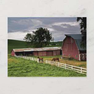 Een rit door het boerenland van Palouse 4 Briefkaart