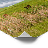 Een rit door het boerenland van Palouse 4 Poster (Hoek)