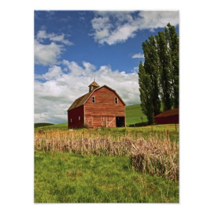 Een rit door het boerenland van Palouse Foto Afdruk