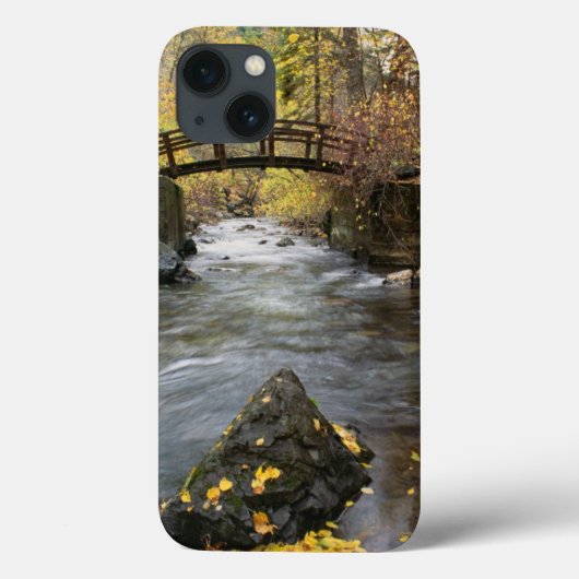 Een rivier die door American Fork Canyon loopt Case-Mate iPhone Case (Achterkant)