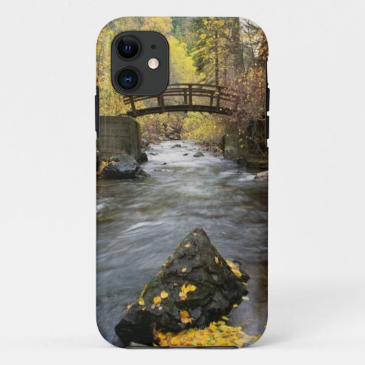 Een rivier die door de Amerikaanse vork Canyon loo Case-Mate iPhone Case (Achterkant)