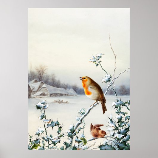 Een Robin en Wren van Harry Bright Poster (Voorkant)
