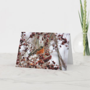 Een Robin Greeting the Winter Season Feestdagen Kaart
