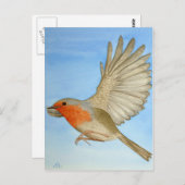 Een Robin in vlucht Briefkaart (Voorkant / Achterkant)