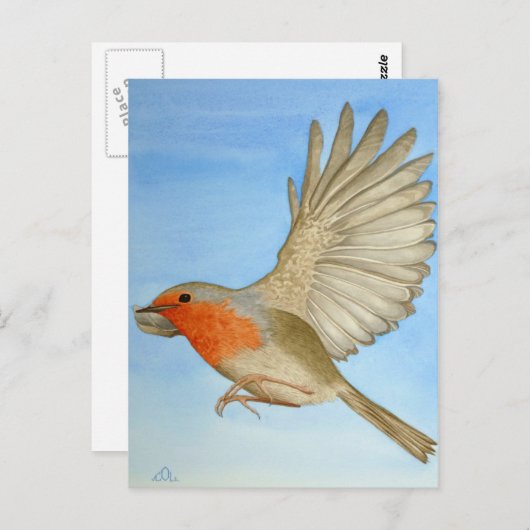 Een Robin in vlucht Briefkaart (Voorkant / Achterkant)