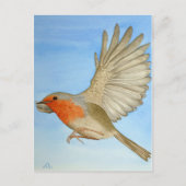 Een Robin in vlucht Briefkaart (Voorkant)