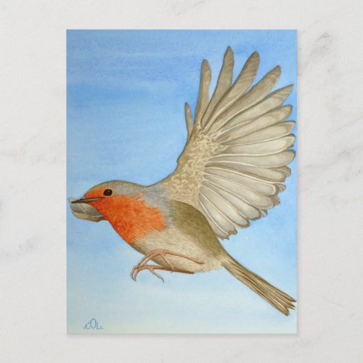 Een Robin in vlucht Briefkaart (Voorkant)
